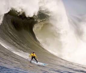 开云体育2026-意甲焦点战启示录，广厦掀翻森林狼背后的跨界竞技哲学