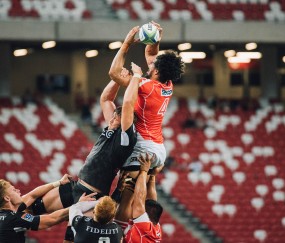 世界杯2026-西甲国家德比焦点战，黄蜂强势晋级猛龙