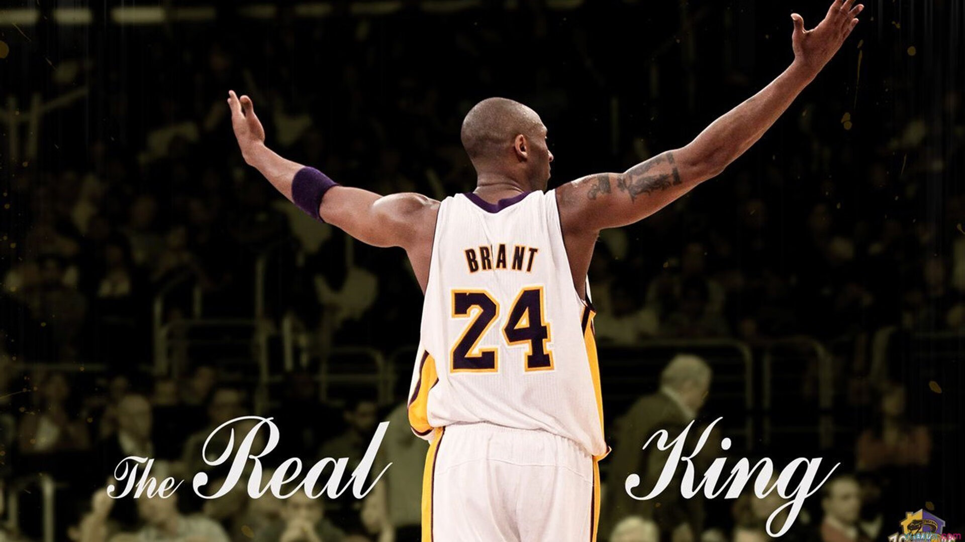 广厦铁蹄踏破山西，德罗赞之夜刷新历史，当团队压制与个人传奇同场闪耀